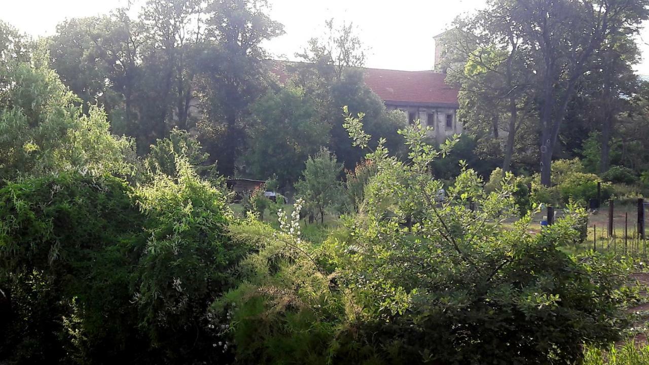 Pivovar Spitt Zahorany Hostal Litoměřice Exterior foto